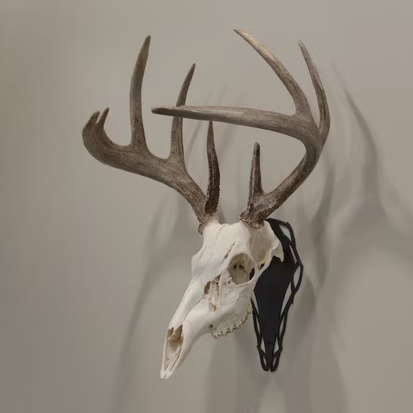 EZ Mount Silhouette Skull Peg, Black